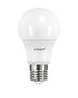 Airam Led-lamppu Daylight E27 6500K 840lm