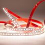 FTLight 12V IP65 9,6/m 840 5M
