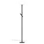 Pen Uplight LED lattiavalaisin