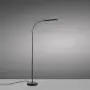 Elly led lattiavalaisin musta