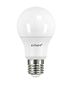 Airam Led-lamppu Daylight E27 6500K 840lm