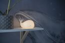 Whale yövalo